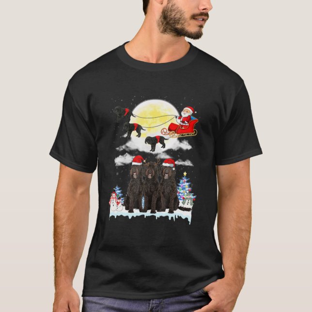 Barbet Dog Santa Sleigh Christmas Lover T-Shirt (Front)