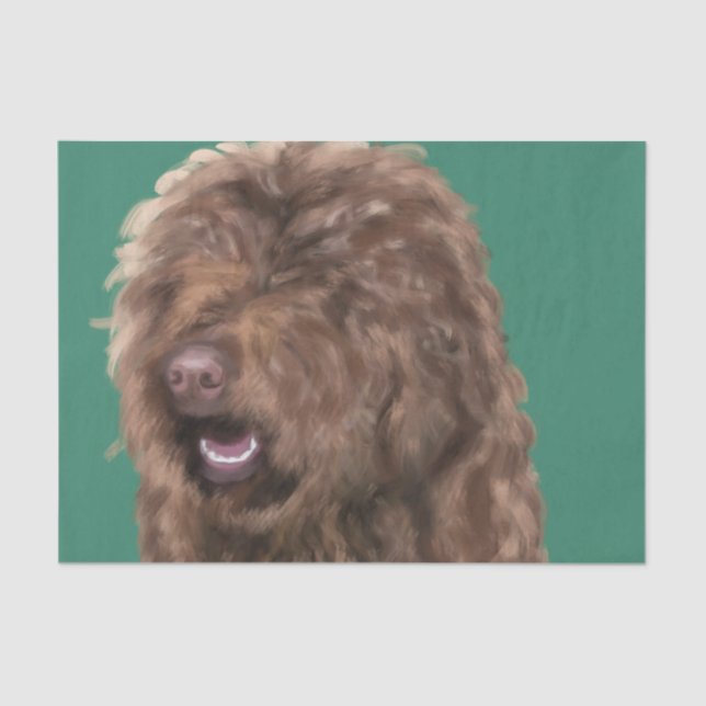 Barbet  tissue paper (Front)