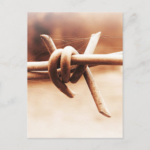 Barbwire and Spider Web in Sepia Postcard