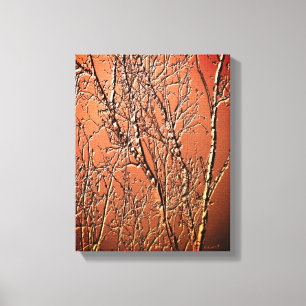 Bare Birch Tree Branches Abstract Canvas Print