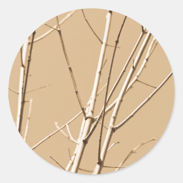 bare branches classic round sticker (Front)