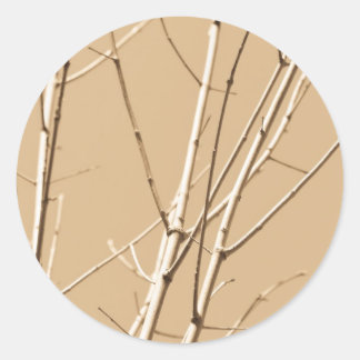 bare branches classic round sticker