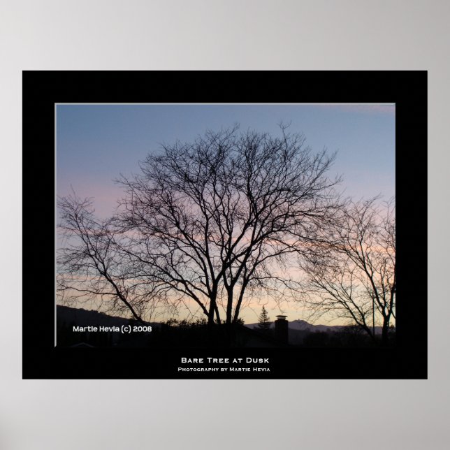 "Bare Tree at Dusk" Poster (Front)