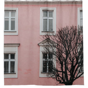 BARE TREE IN FRONT OF PINK BUILDING