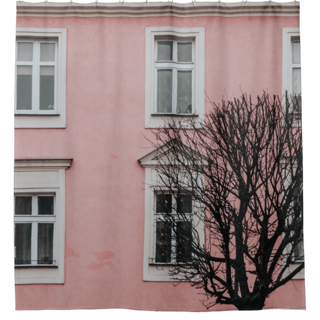 BARE TREE IN FRONT OF PINK BUILDING (Front)