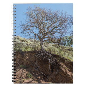 Bare tree on mountain during day notebook