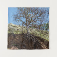 Bare tree on mountain during day