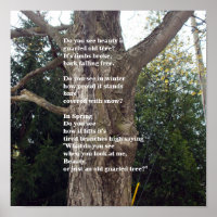 Bare Tree Poem fot Arbor Day