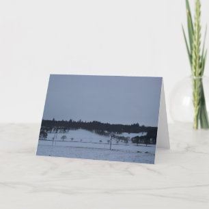 Bare Trees in the Snow Holiday Card