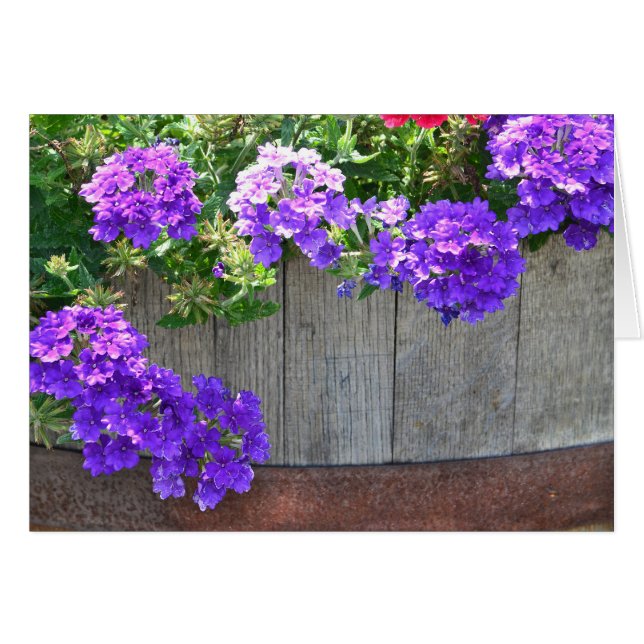 Baril De Fleurs (Devant horizontal)