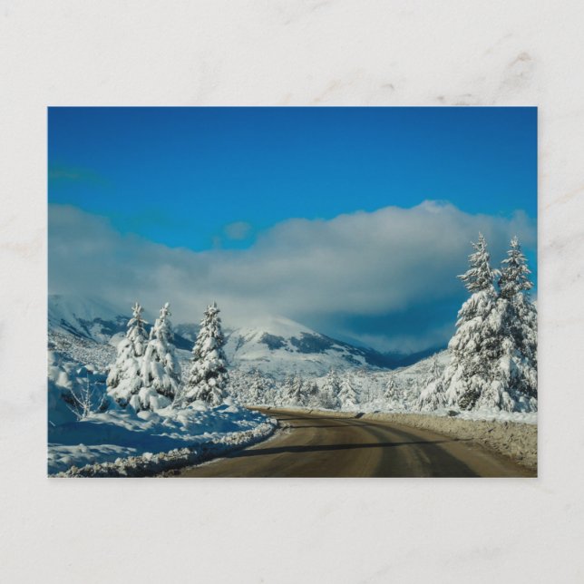 Bariloche, Road To Ski Resort Postcard (Front)