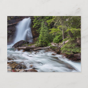 Baring Falls in Glacier National Park, Montana Postcard