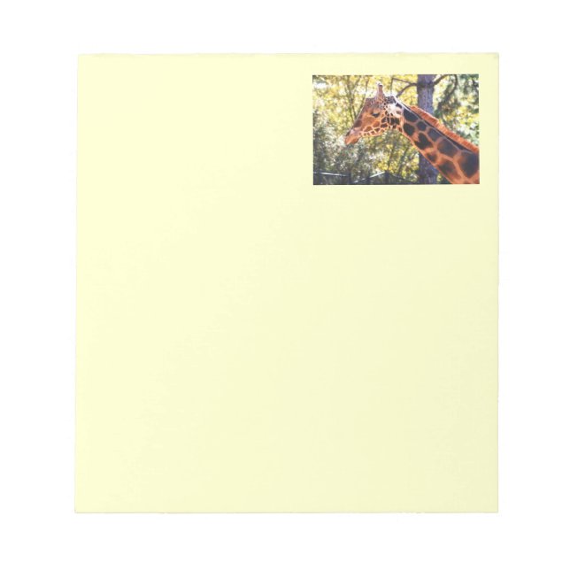 Baringo Giraffe Notepad (Front)