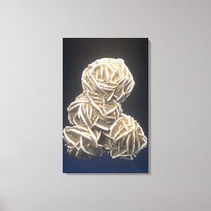 Barite crystals with Gypsum, Norman, Oklahoma, USA Canvas Print