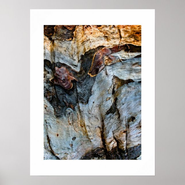 Bark Abstract Poster (Front)