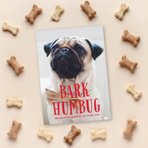 Bark Humbug Cute Puppy Dog   Holiday Photo Card