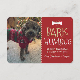 Bark Humbug Dog Christmas Card