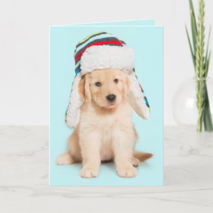 Bark Humbug Golden Retriever puppy Holiday Card