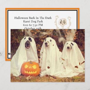 Bark In The Dark Halloween Party For DOGS Holiday Card