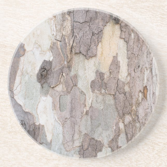 Bark of plane tree coaster (Front)