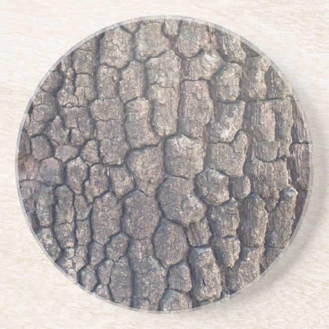 Bark of plane tree coaster (Front)