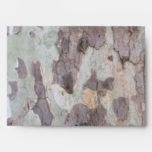 Bark of plane tree envelope