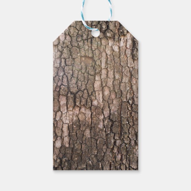 Bark of plane tree gift tags (Front)