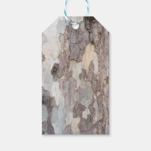 Bark of plane tree gift tags