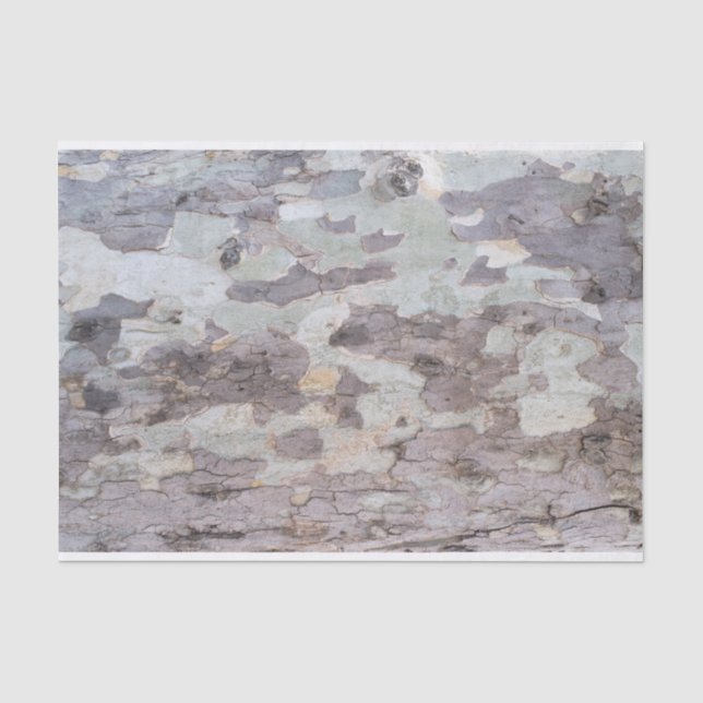 Bark of plane tree tissue paper (Front)