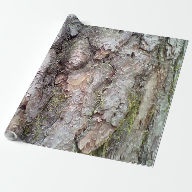 bark of Scots pine Wrapping Paper (Unrolled)
