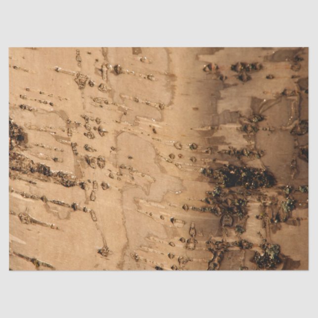 Bark Tissue Paper (Front)
