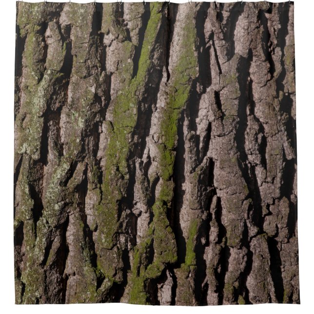 Bark tree oak moss trunk wood (Front)