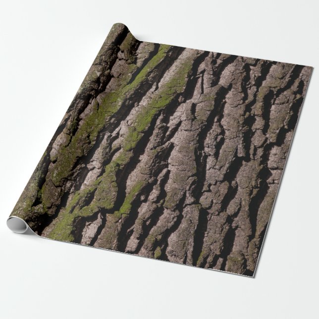 Bark tree oak moss trunk wood wrapping paper (Unrolled)
