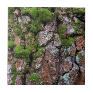 Bark tree tile
