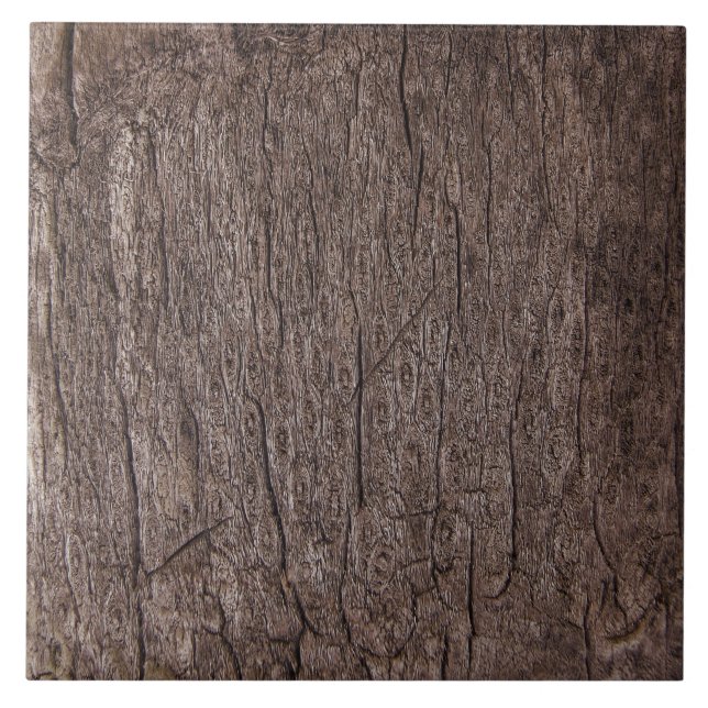 Bark - Warm Brown Weathered Tree Bark Nature Tile (Front)