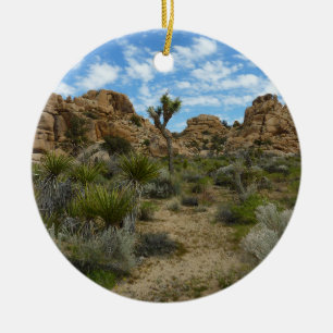 Barker Dam Loop Trail at Joshua Tree National Park Ceramic Ornament
