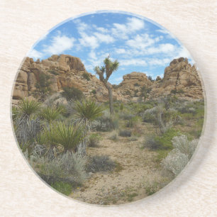 Barker Dam Loop Trail at Joshua Tree National Park Coaster
