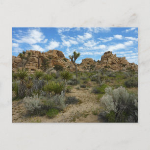 Barker Dam Loop Trail at Joshua Tree National Park Postcard