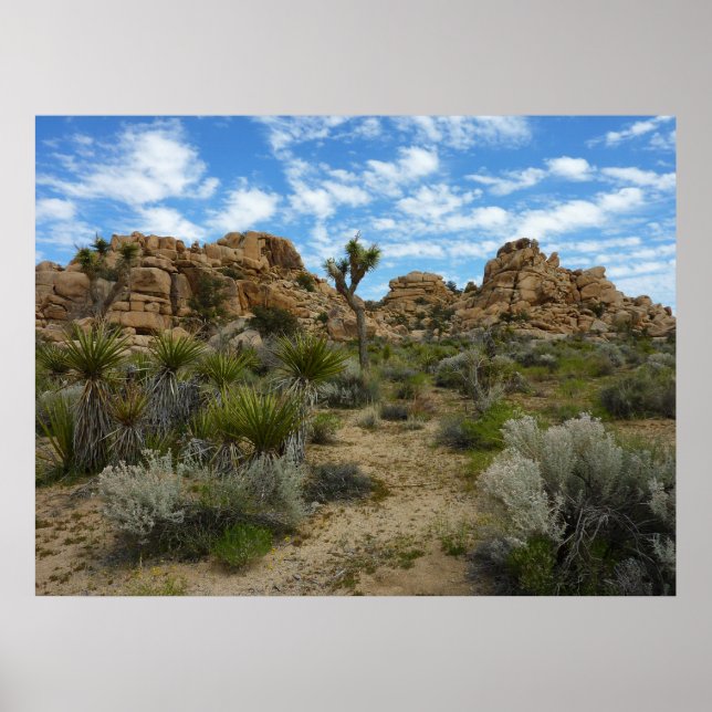 Barker Dam Loop Trail at Joshua Tree National Park Poster (Front)