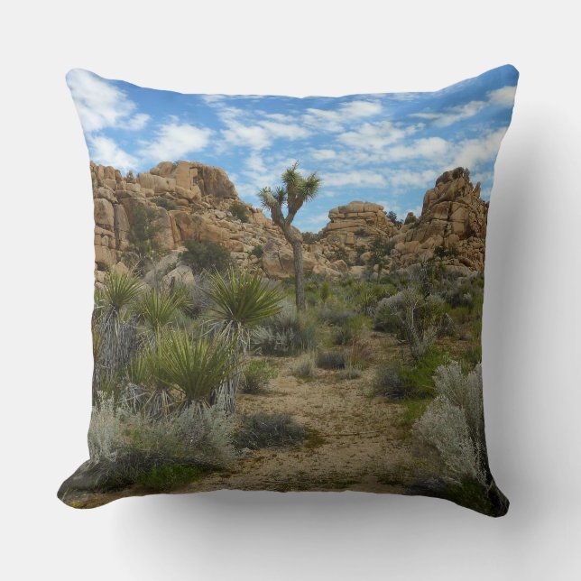 Barker Dam Loop Trail at Joshua Tree National Park Throw Pillow (Front)