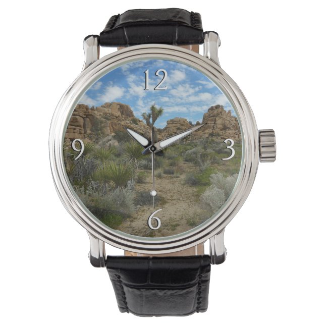 Barker Dam Loop Trail at Joshua Tree National Park Watch (Front)