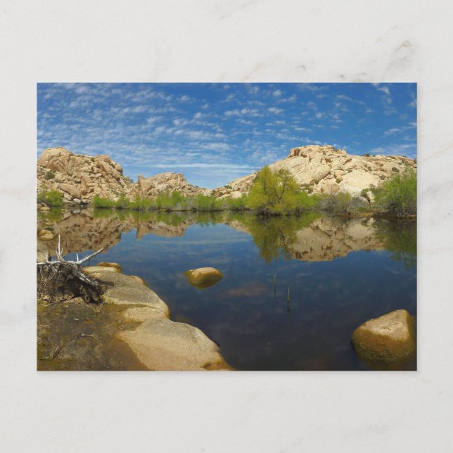 Barker Dam Reflection at Joshua Tree II Postcard (Front)