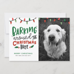 Barking Around The Christmas Tree Dog Christmas Holiday Card