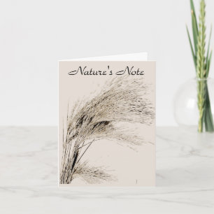BARLEY GRASS PHOTO NOTE CARD