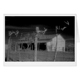"Barn and Antlers"
