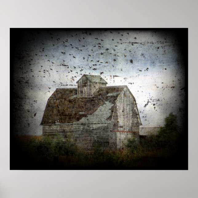 Barn and Birds Poster (Front)
