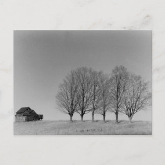 Barn and trees postcard