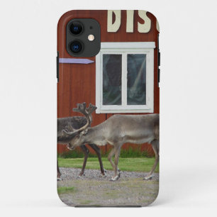 Barn iPhone 11 Case
