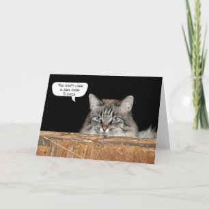Barn Cat In Hayloft Birthday Card