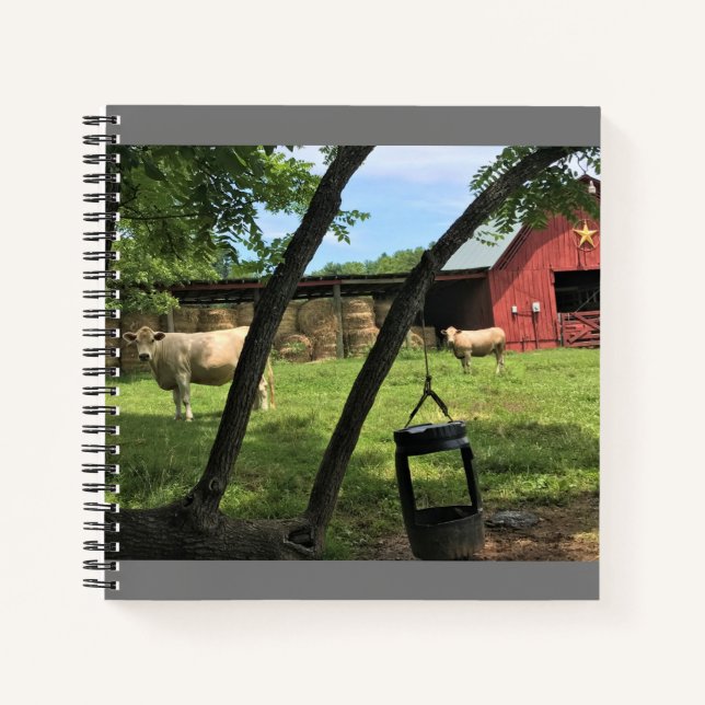 Barn & Cows, Rural North Carolina Canvas Print Notebook (Front)